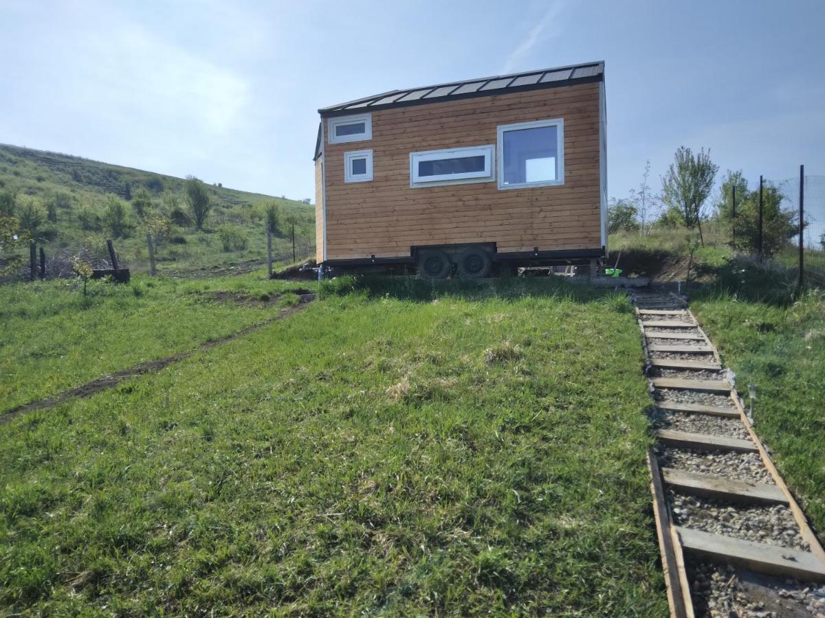 Tiny House Cluj With Jacuzzi Villa Sinnicoara Exterior foto