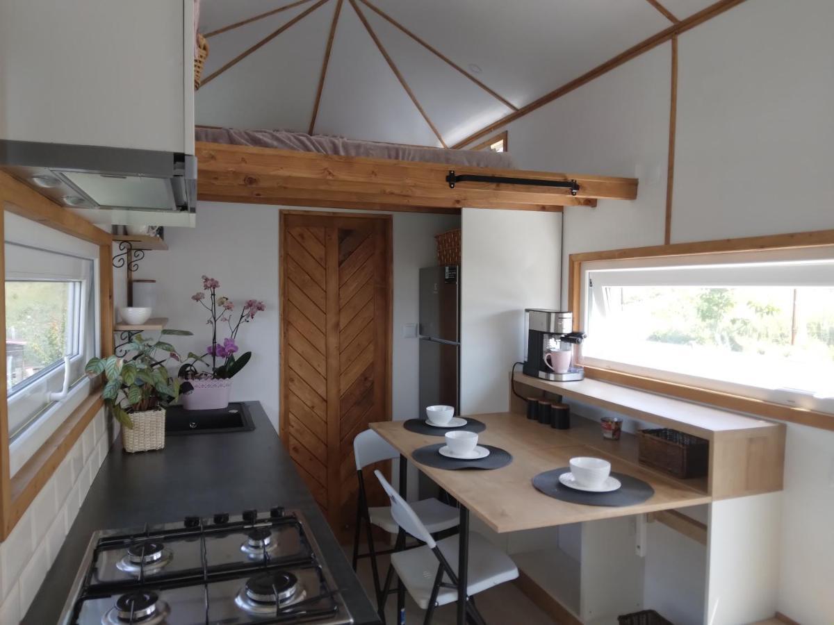 Tiny House Cluj With Jacuzzi Villa Sinnicoara Exterior foto